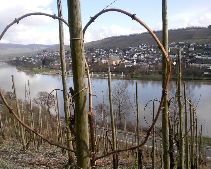 Weingut des Herzens